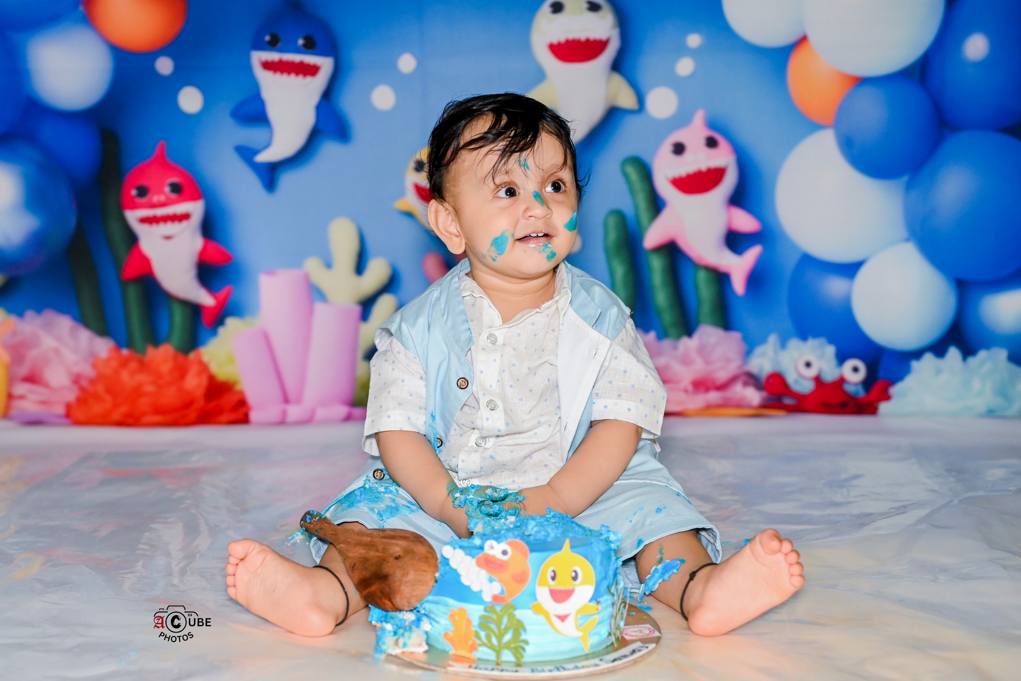 cake smash baby shark