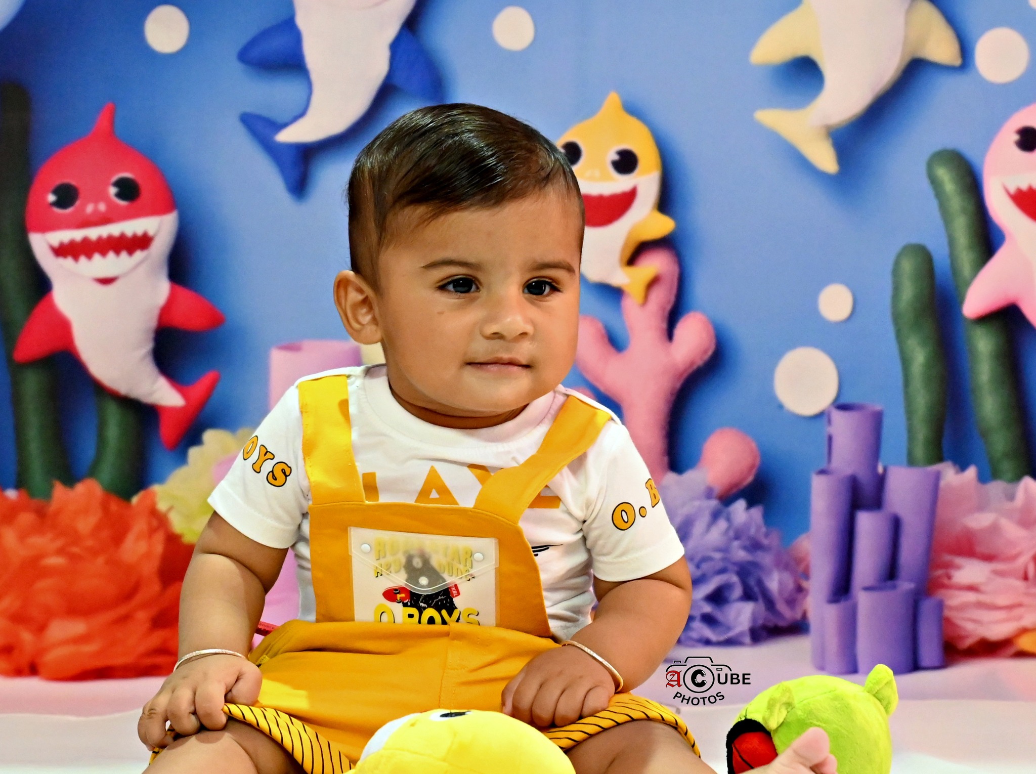 baby shark portrait shoot