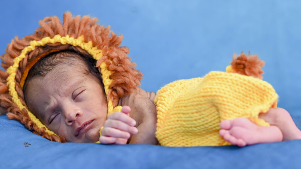 Newborn Lion Dress
