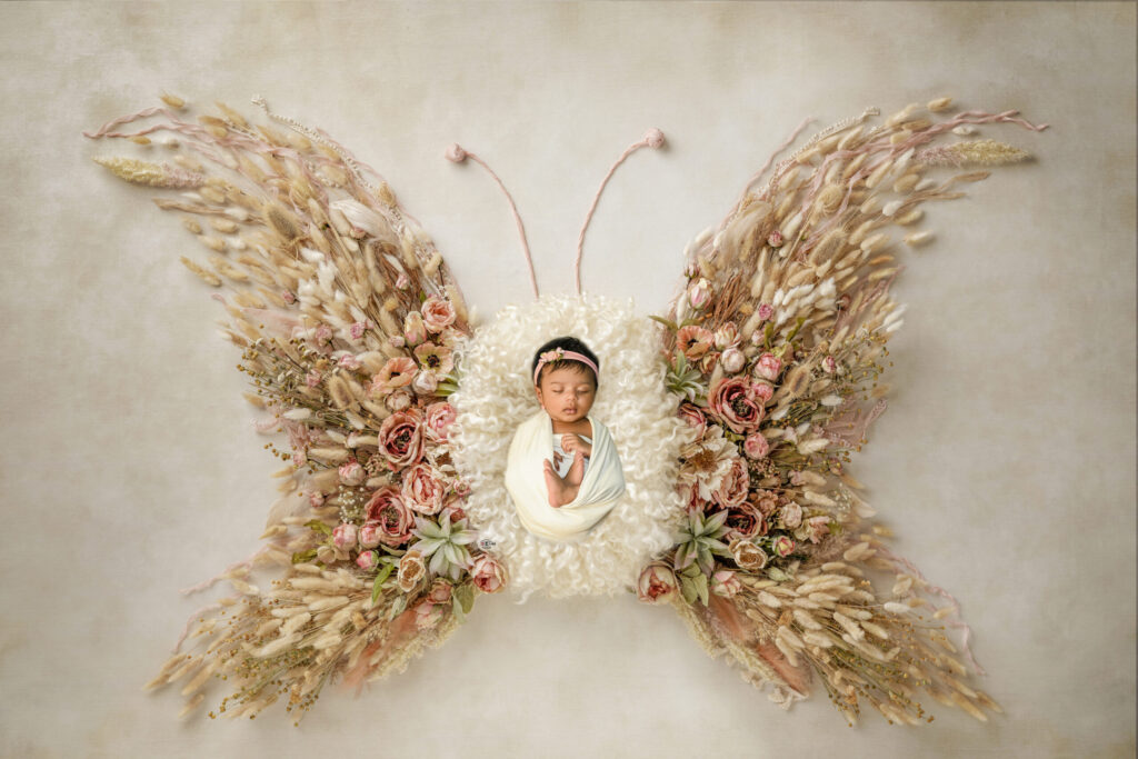 Newborn Butterfly Setup Digital