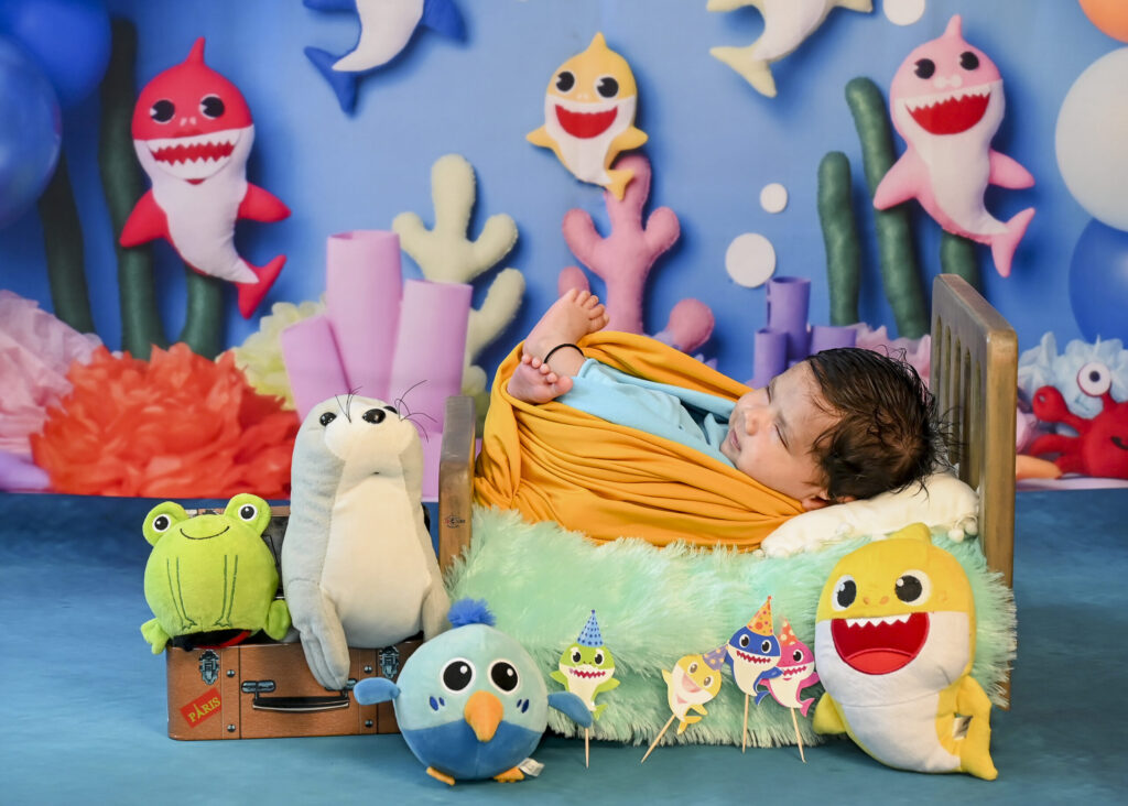 Newborn baby shark theme photography