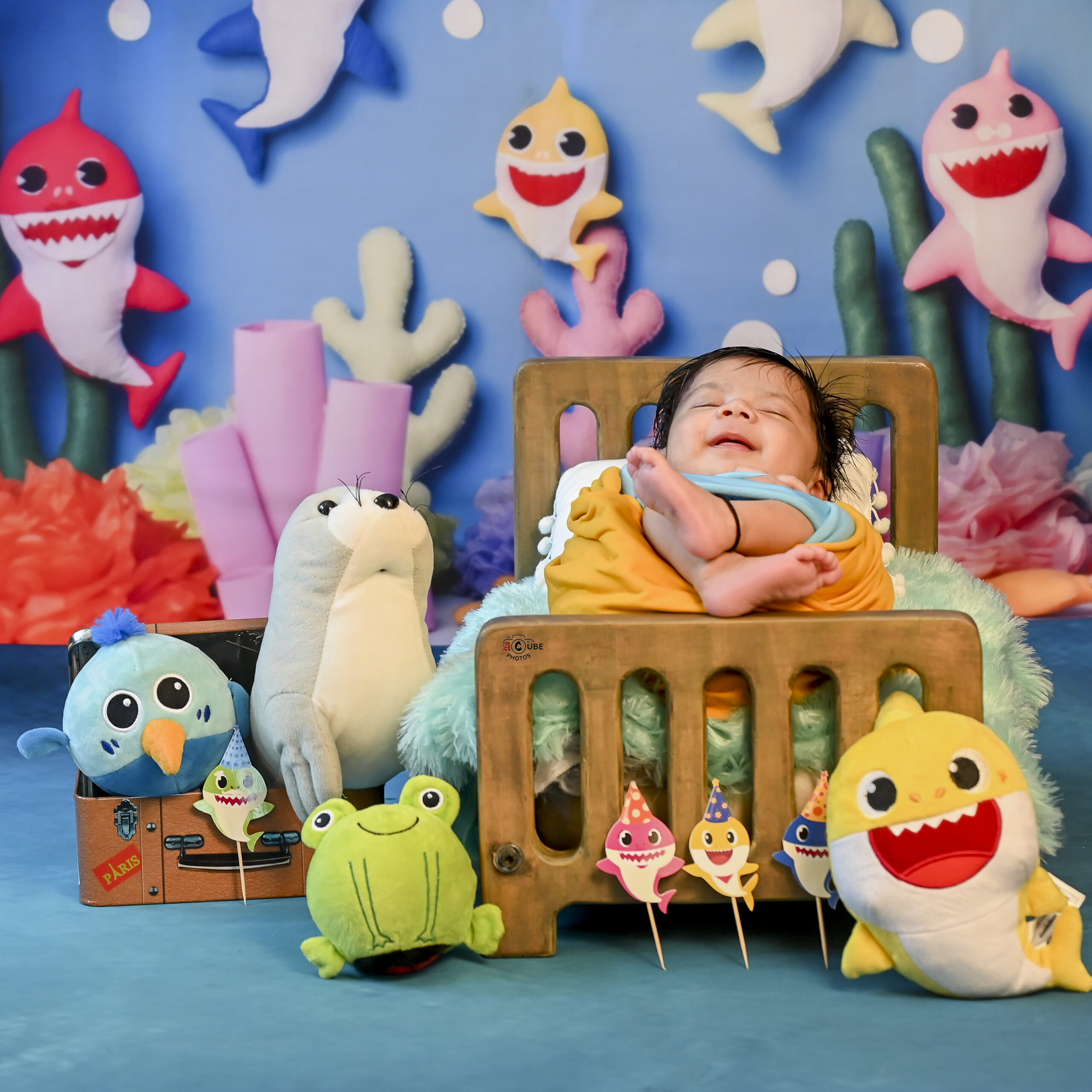 Newborn Baby Shark Theme