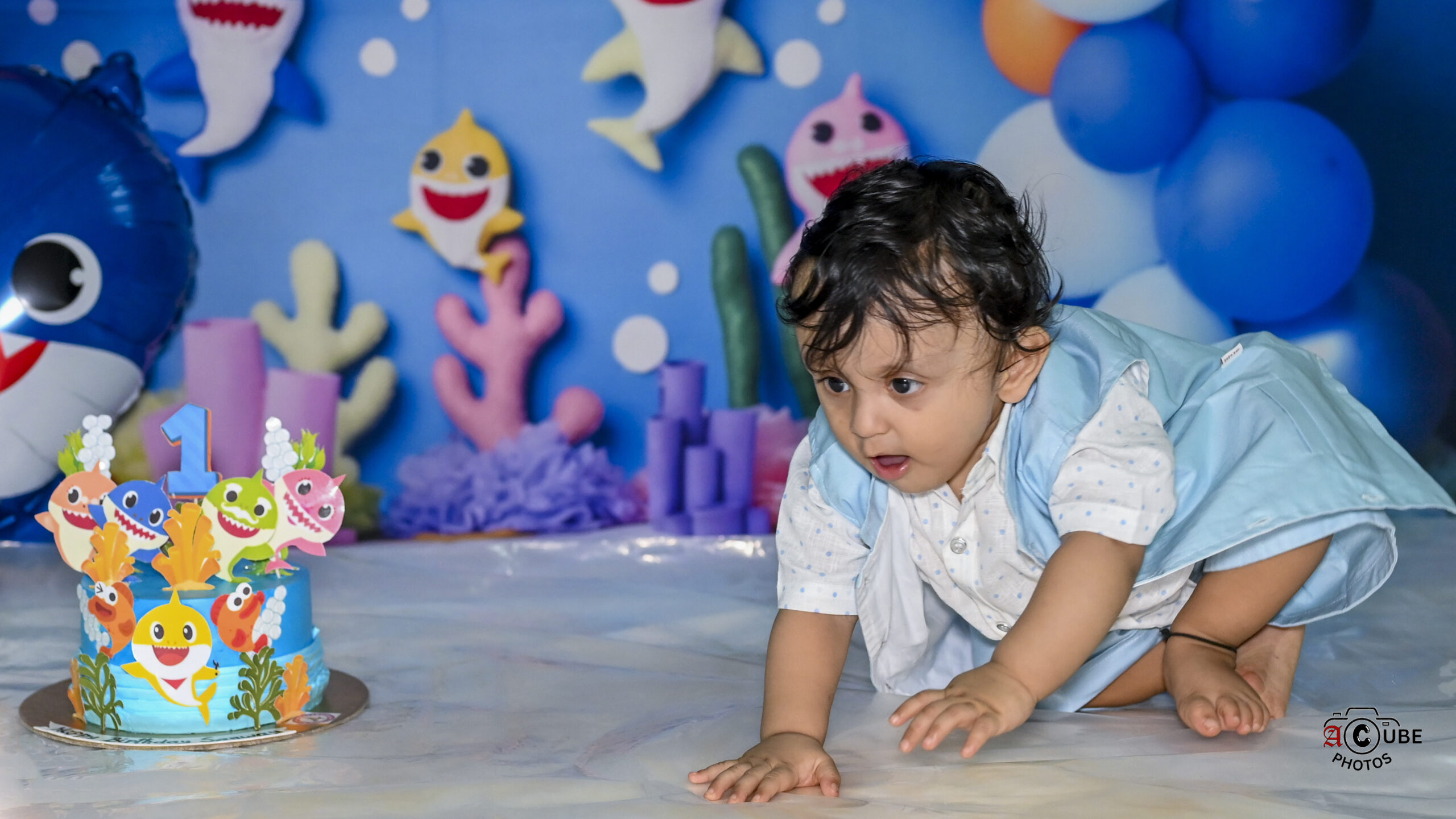 cake smash cake fun