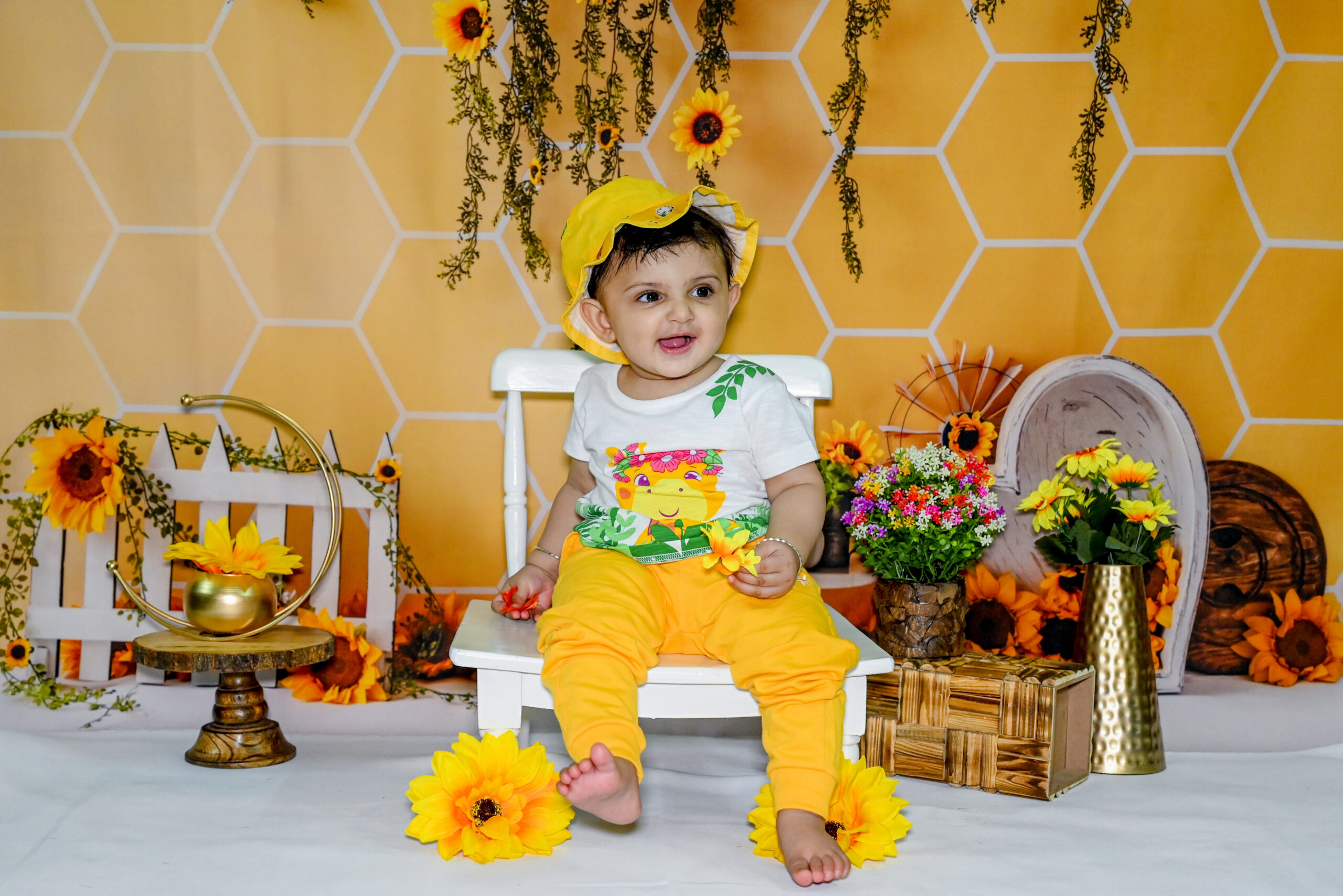sunflower dreams photography